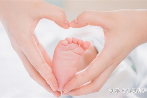 http://nanning.51dzb.net/post/188.html|南宁新闻中心